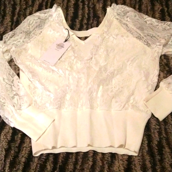 Adorable Backless Lace Sweater - Picture 1 of 6